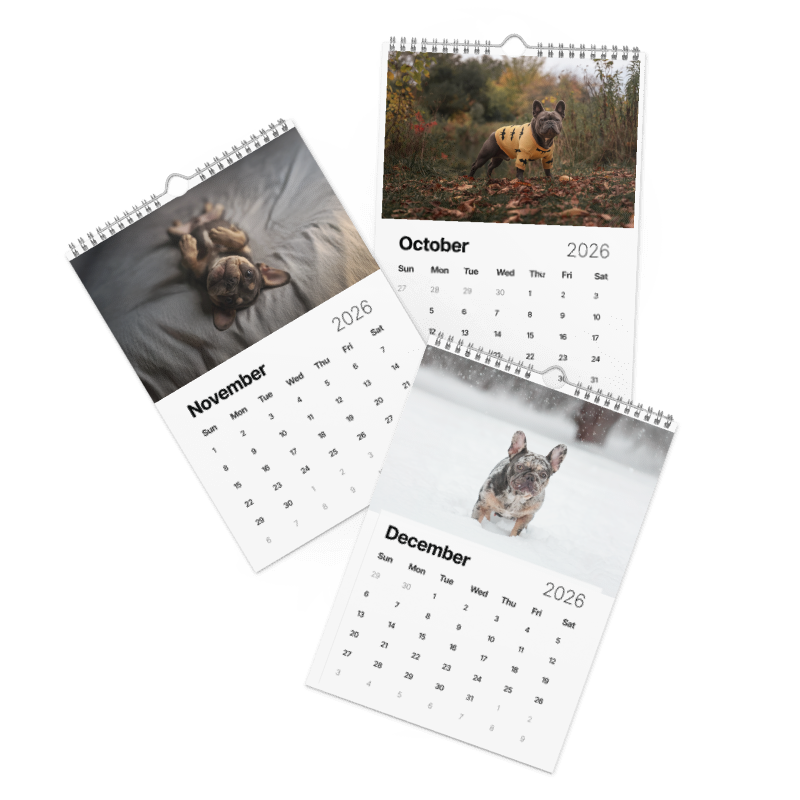 Wall Calendars 2026